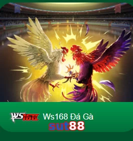 sut88